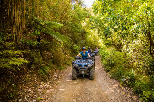 Biking Quads in Nature