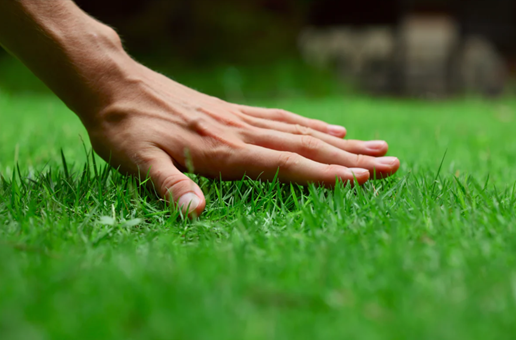 Greener Grass Landscaping